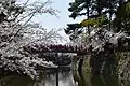 Okazaki Flower Festival