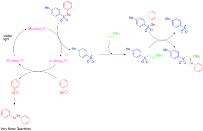 Addition of Tosylphenylselenide across an olefin