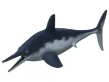 Ophthalmosaurus icenicus