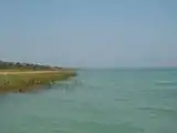 Shore of Lake Petén Itza.