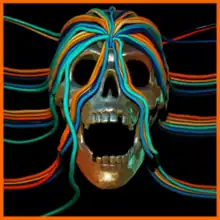 A computer graphic of a skull with several cables overlaid on it