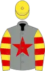 Grey, red star, yellow and red hooped sleeves, yellow cap