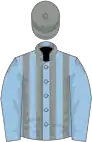 Light blue, grey stripes on body, grey cap