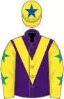 Purple, yellow chevron, yellow sleeves, emerald green stars, yellow cap, royal blue star