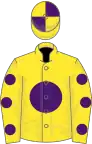 Yellow, purple disc, yellow sleeves, purple spots, quartered cap