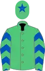 Emerald green, royal blue chevrons on sleeves, emerald green cap, royal blue star