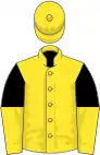 Yellow, black and yellow halved sleeves