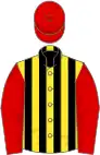 Yellow and black stripes, red sleeves and cap