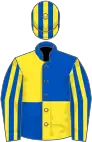 Royal blue and yellow (quartered), striped sleeves and cap