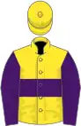 Yellow, purple hoop and sleeves