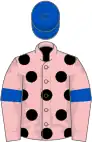 Pink, black spots, pink sleeves, royal blue armlets, royal blue cap