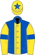 Royal blue, yellow stripe, yellow sleeves, royal blue armlets and star on yellow cap