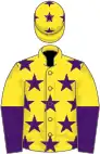 Yellow, Purple stars, halved sleeves