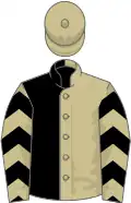 Beige and black halved, black chevrons on sleeves, beige cap