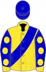 Yellow, blue sash, blue sleeves with yellow spots and cuffs, blue cap