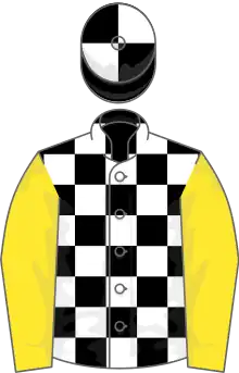 Black and white check, yellow sleeves, black and white quartered cap