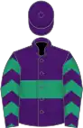 Purple, emerald green hoop, emerald green and purple chevrons on sleeves