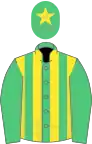 EMERALD GREEN and YELLOW STRIPES, emerald green sleeves, yellow star on cap