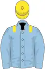 Light blue, yellow epaulets and cap