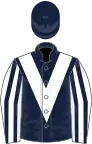 Dark blue, white chevron, white and dark blue striped sleeves