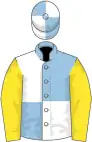 Light blue and white (quartered), yellow sleeves