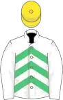 White and emerald green chevrons, white sleeves, yellow cap