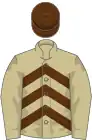 Beige and brown chevrons, beige sleeves, brown cap