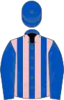 Royal blue and pink stripes, royal blue sleeves and cap