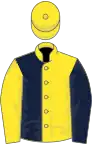 Yellow and dark blue (halved), reversed sleeves, yellow cap