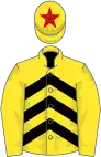 Yellow and black chevrons, yellow sleeves, yellow cap, red star