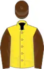 Yellow, brown sleeves and cap