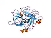 1f5l: UROKINASE PLASMINOGEN ACTIVATOR B-CHAIN-AMILORIDE COMPLEX