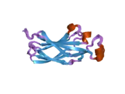 1tey: NMR structure of human histone chaperone, ASF1A