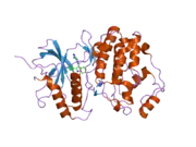 1tvo: The structure of ERK2 in complex with a small molecule inhibitor