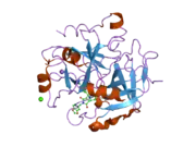 1vzq: COMPLEX OF THROMBIN WITH DESIGNED INHIBITOR 7165