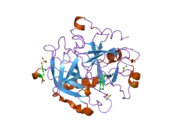 1way: ACTIVE SITE THROMBIN INHIBITORS