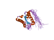 1x52: Solution structures of the C-terminal domain of the human Pelota homolog (CGI-17)