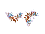 1ygu: Crystal structure of the tandem phosphatase domains of RPTP CD45 with a pTyr peptide