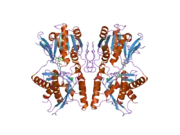 1yk0: structure of natriuretic peptide receptor-C complexed with atrial natriuretic peptide