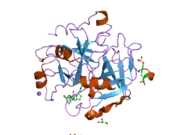 1ypl: X-ray crystal structure of thrombin inhibited by synthetic cyanopeptide analogue RA-1008