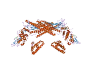 1yvl: Structure of Unphosphorylated STAT1