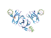 1z0m: the glycogen-binding domain of the AMP-activated protein kinase beta1 subunit