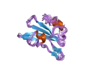 1z3k: Structural Insight into the Binding Diversity between the Tyr-Phosphorylated Human EphrinBs and Nck2 SH2 Domain