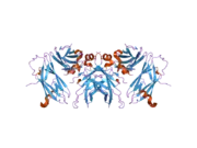 1z9o: 1.9 Angstrom Crystal Structure of the Rat VAP-A MSP Homology Domain in Complex with the Rat ORP1 FFAT Motif