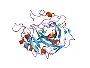 1zge: carbonic anhydrase II in complex with p-Sulfonamido-o,o'-dichloroaniline as sulfonamide inhibitor