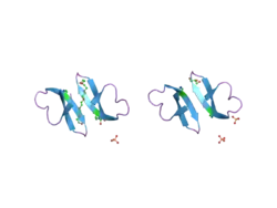 1zmh: Crystal structure of human neutrophil peptide 2, HNP-2 (variant Gly16-> D-Ala)