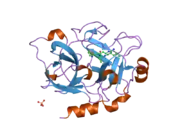 1zpb: Crystal Structure of the Catalytic Domain of Coagulation Factor XI in Complex with 4-Methyl-pentanoic acid {1-[4-guanidino-1-(thiazole-2-carbonyl)-butylcarbamoyl]-2-methyl-propyl}-amide