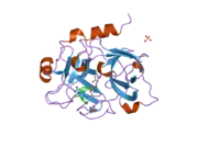 1zsk: Crystal Structure of the Catalytic Domain of Coagulation Factor XI in Complex with 6-Carbamimidoyl-4-(3-hydroxy-2-methyl-benzoylamino)-naphthalene-2-carboxylic acid methyl ester