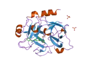 1ztj: Crystal Structure of the Catalytic Domain of Coagulation Factor XI in Complex with 2-(5-Benzylamino-2-methylsulfanyl-6-oxo-6H-pyrimidin-1-yl)-N-[4-guanidino-1-(thiazole-2-carbonyl)-butyl]-acetamide