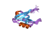 2ain: Solution structure of the AF-6 PDZ domain complexed with the C-terminal peptide from the Bcr protein